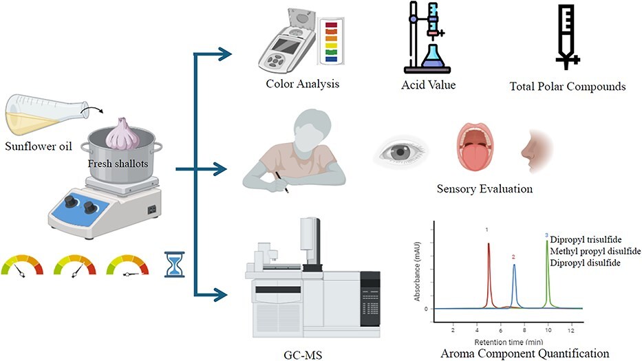展示了蔥油製備過程、顏色分析、酸價、總極性化合物測量、感官評估和 GC-MS 香氣成分定量分析的實驗流程圖。