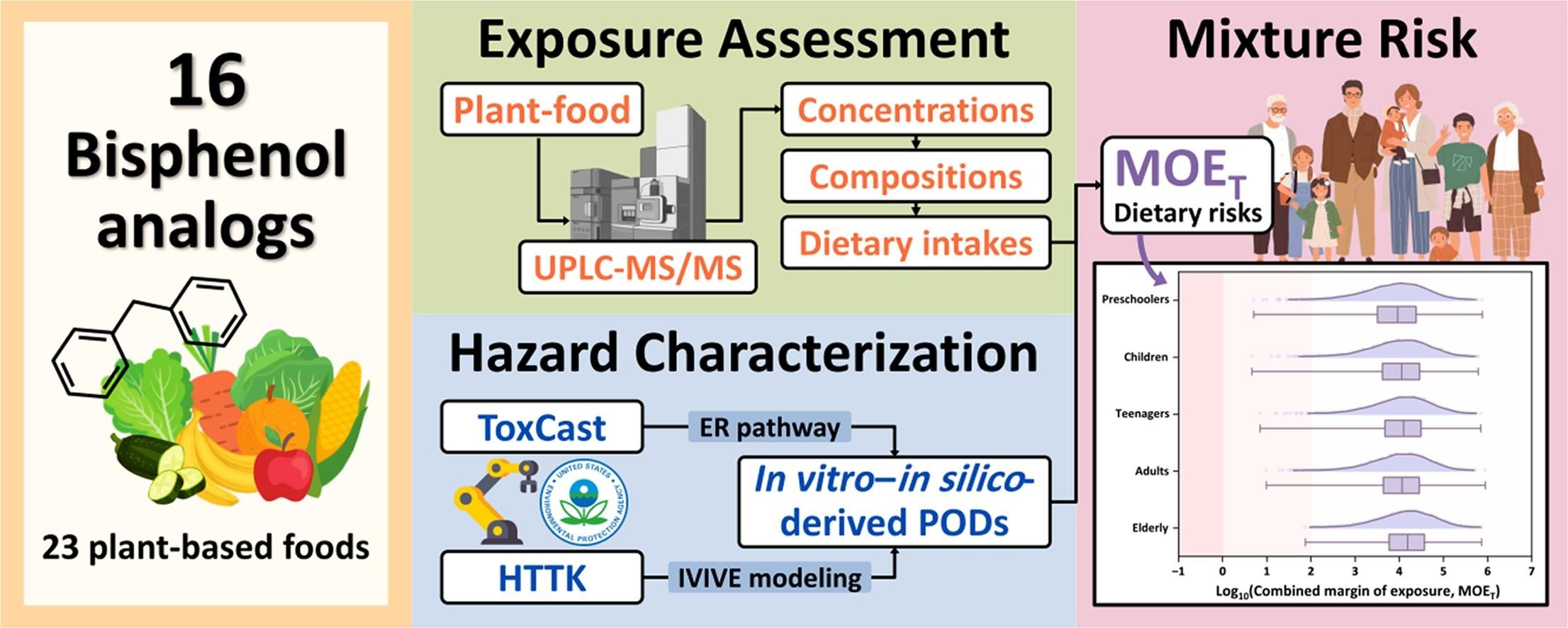 這個是文章的圖摘要，說明整篇文章的內容，本篇本研究調查台灣23種植物性食品中16種雙酚類（BPs），發現有7種被檢出，85.9%的樣品含有可測得濃度。總濃度範圍為0.06至26.60 ng/g，以BPA為主，占總濃度63%。透過高通量毒物動力學模型，將體外ToxCast雌激素受體活性濃度轉換為人體等效POD，並與動物實驗POD比較，評估其雌激素途徑的混合風險。結果顯示，多數年齡族群的BPs混合暴露對健康影響風險低，但最嚴重情境下仍具潛在疑慮。本研究有助於了解植物性食品中雙酚暴露之健康風險，並展示體外—體內方法於環境污染物風險評估之潛力。